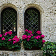 Lichtenstein Castle Arched Flower Windows - Germany Art Print
