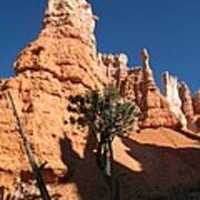 Light And Shadow In The Bryce Canyon Art Print