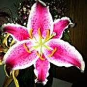#lily #closeup #pretty #flower Art Print
