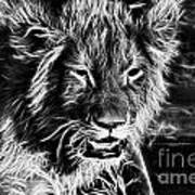 Lion Cub-black And White V2 Art Print