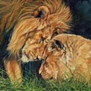 Lion  Love Art Print