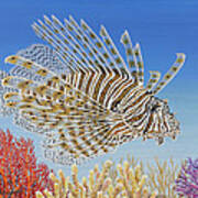 Lionfish And Coral Art Print