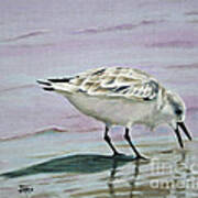 Little Bird On The Beach Art Print