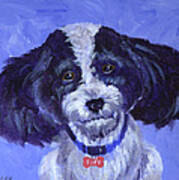 Little Dog Blue Art Print