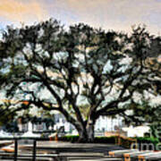 Live Oak Artistic Trendering Art Print