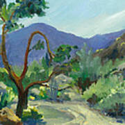 Stately Desert Tree - Spring Commeth Art Print