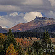 Lizard Head Wilderness Art Print