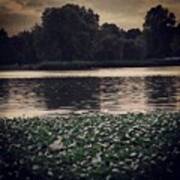 #london #hydepark #river #green Art Print