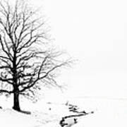 Lone Tree In Black And White Art Print