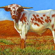 Longhorn In The Australian Outback Art Print