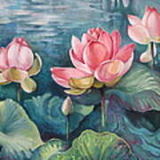 Lotus Pond Art Print