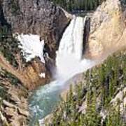 Lower Yellowstone Falls Art Print