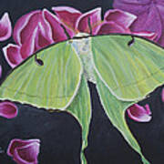 Luna Moth Art Print