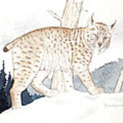 Lynx In Winter Art Print