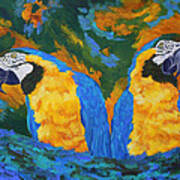Macaw Mates Art Print