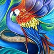 Macaw Art Print