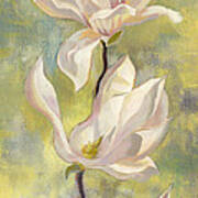 Magnolia In Garden Art Print