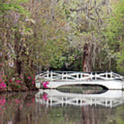 Magnolia Plantation Gardens Series Iii Art Print