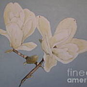 Magnolia Sun Ray Art Print