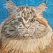Maine Coon Cat Art Print