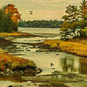Maine Wetlands Art Print