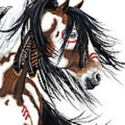 Majestic Pinto Horse Art Print