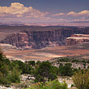 Marble Canyon With Trees In Foreground Art Print