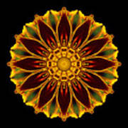 Marigold Flower Mandala Art Print