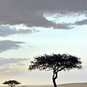 Masai Mara Sunset And Acacias Art Print