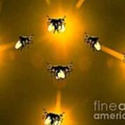 Mating Fireflies Art Print