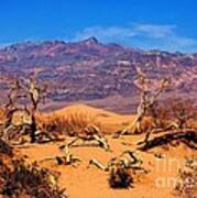 Mesquite Flat Sand Dunes Death Valley Ca Art Print