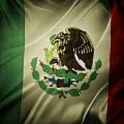 Mexican Flag Art Print