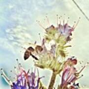 #mgmarts #flower #spring #summer #bee Art Print