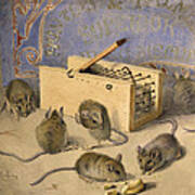 Mice And Huntley Palmers Superior Biscuits Art Print