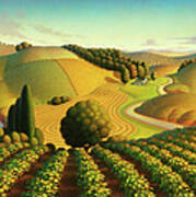 Midwest Vineyard Art Print