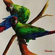 Military Macaws Art Print