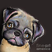 Miss Pug Art Print