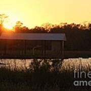 Mississippi Bayou 7 Art Print