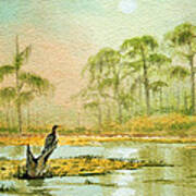 Misty Sunrise At Wakulla Art Print