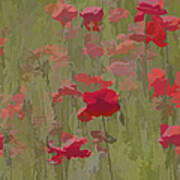 Monet Poppies Art Print