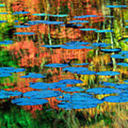 Monet Reflection Art Print