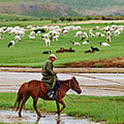 Mongolia, Tov, Nomad Camp, Rallying Of Art Print