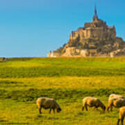 Mont St-michel Art Print