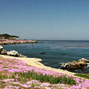 Monterey Bay Art Print