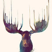 Moose Art Print