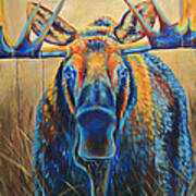 Moose Marsh Art Print
