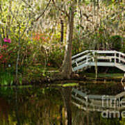 Morning Light Over The White Bridge Art Print