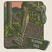 Morning Run On The Wildwood Trail Art Print