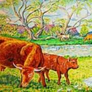 Mother Cow And Bull Calf Art Print