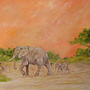 Mother Elephant Leads Baby To Water Art Print